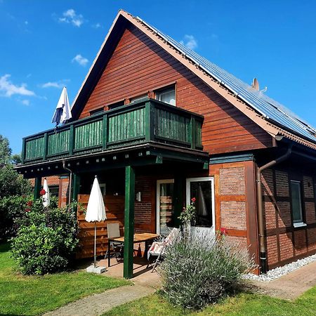 Ferienhaus Sasse Ferienwohnungen Mit Garten & Grill Molschow المظهر الخارجي الصورة